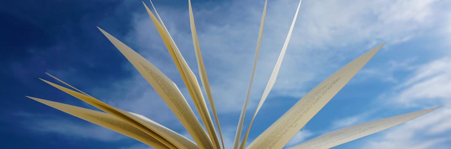 6. 飛行運行類(lèi)技術(shù)出版物.jpg